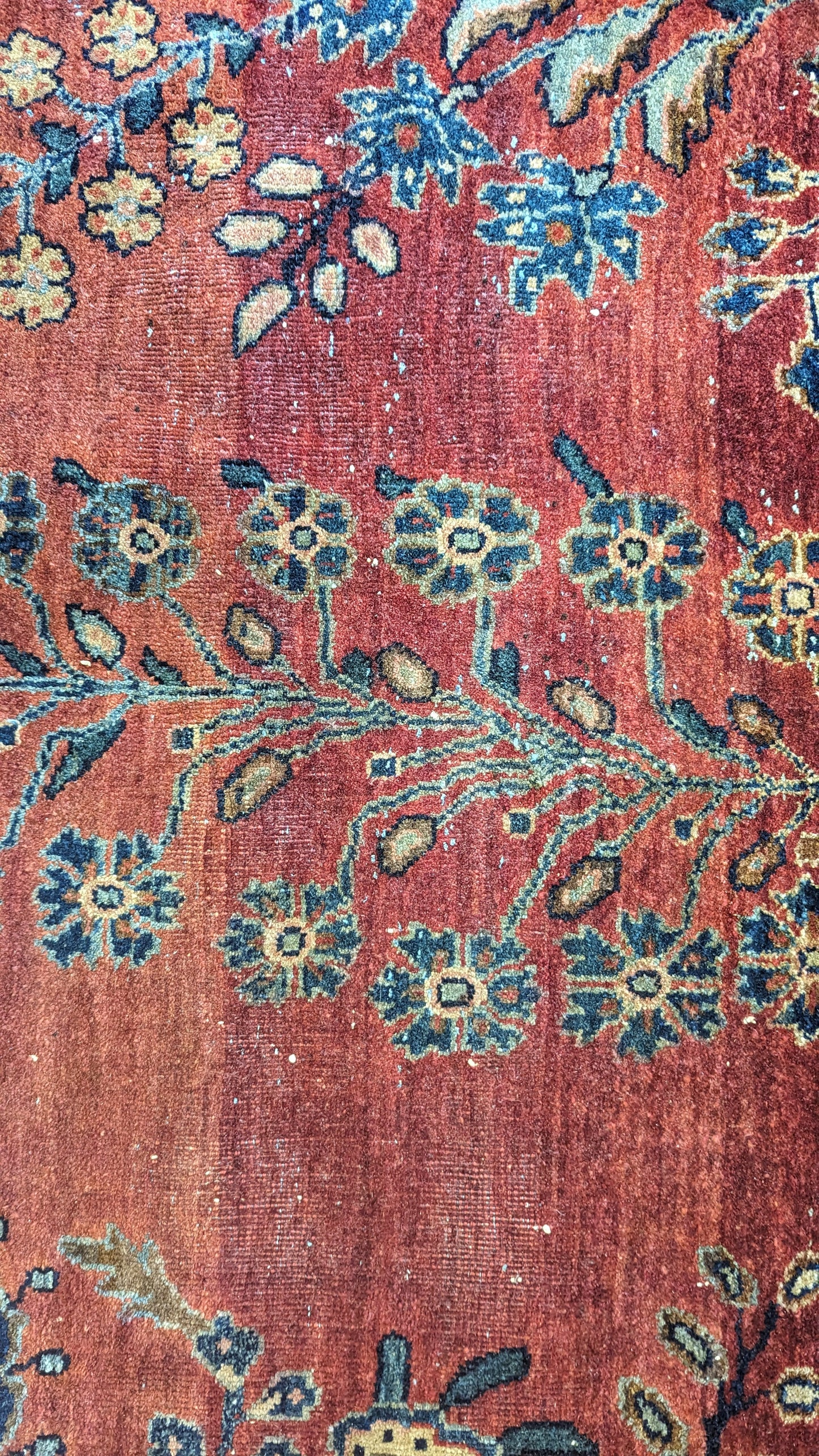 SOLD - Mohajeran Sarouk, 8x11