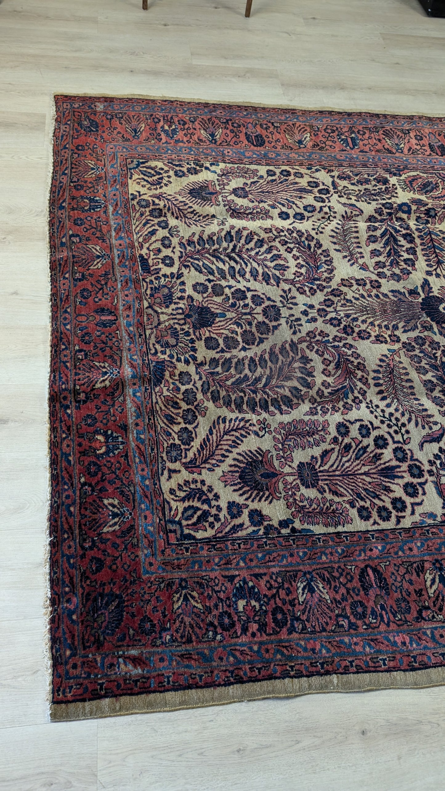Antique Sarouk Persian Rug, 6'4"x9'2" - The Golden Sarouk