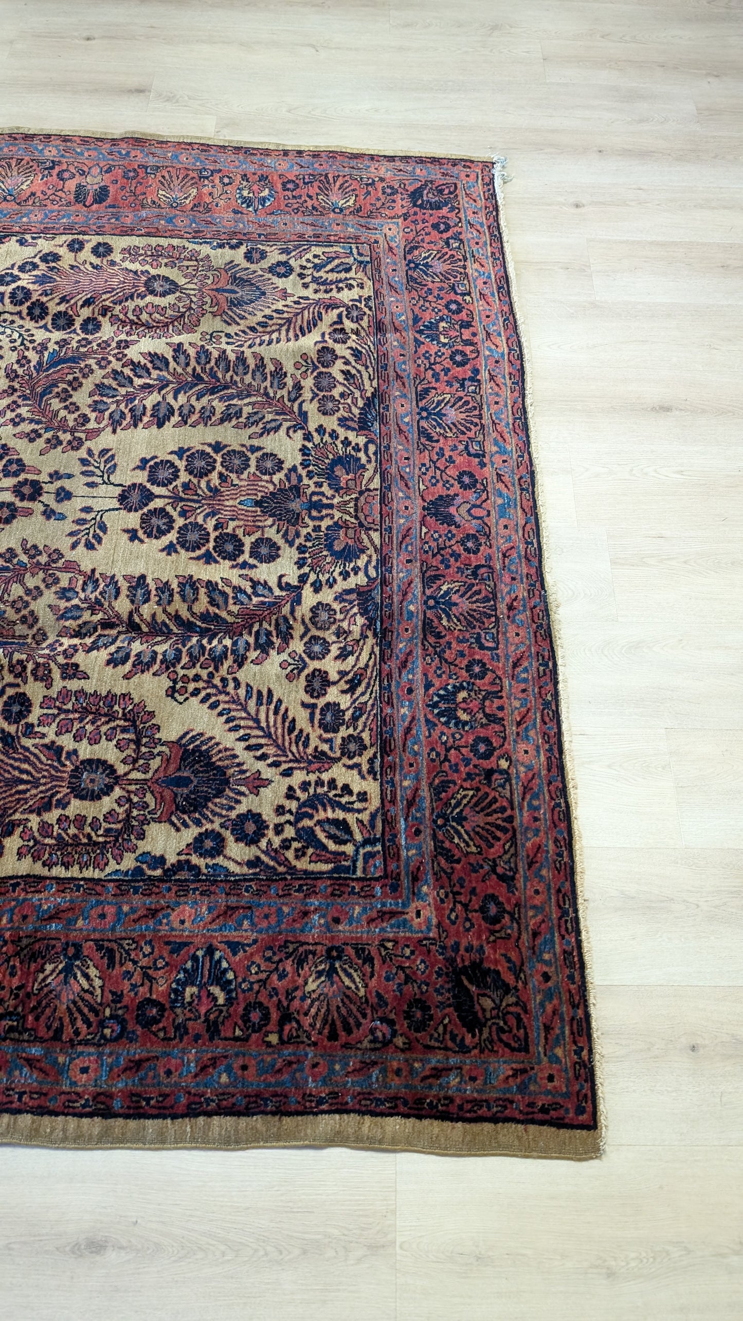 Antique Sarouk Persian Rug, 6'4"x9'2" - The Golden Sarouk