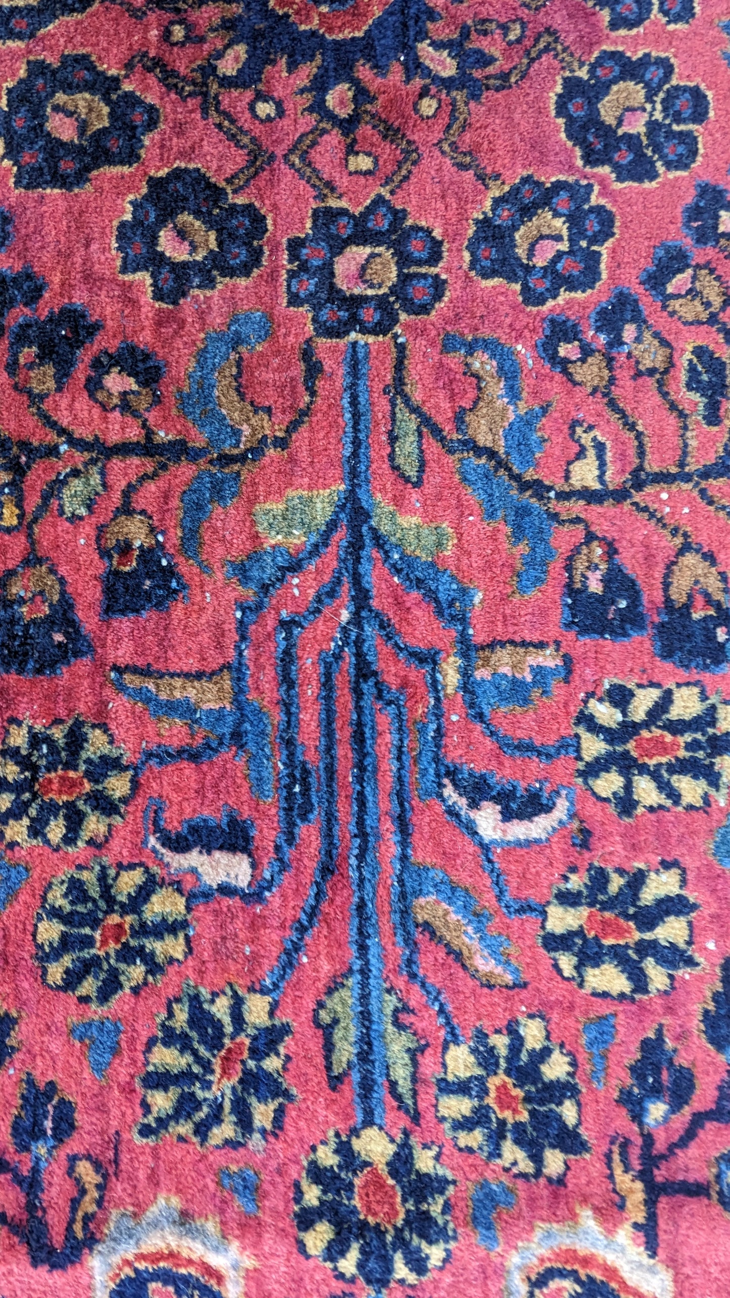 Antique Sarouk Persian Rug, 12x20