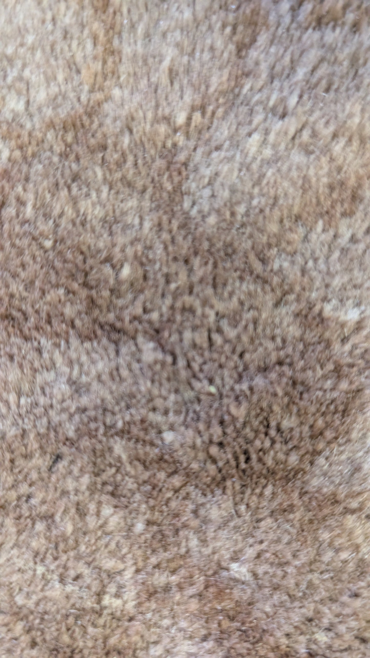 Art Deco Chinese Rug, 9x12