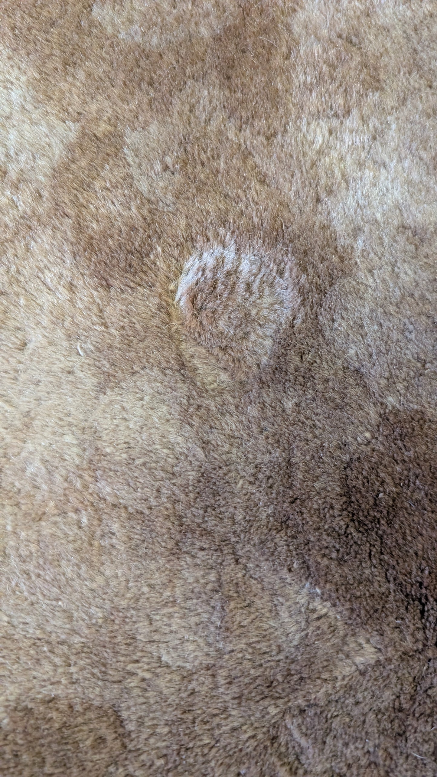 Art Deco Chinese Rug, 9x12