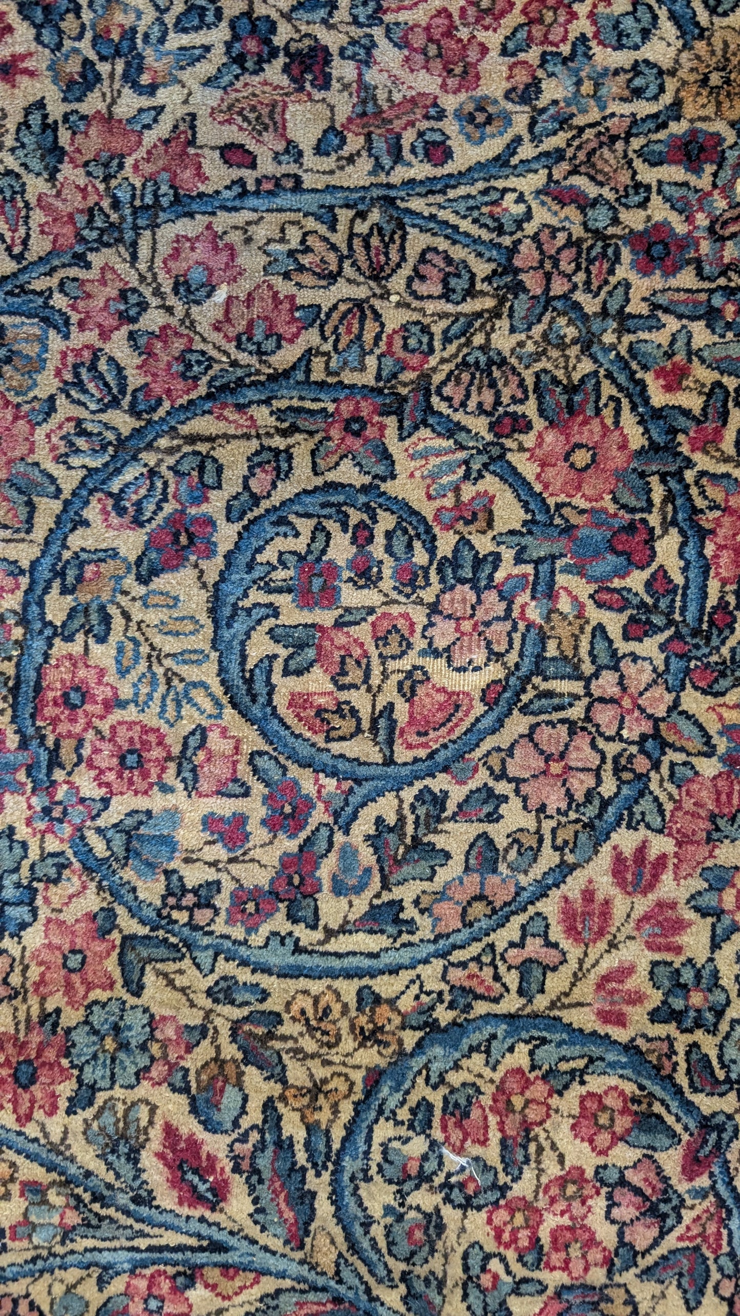 Antique Lavar Kerman Persian Rug, 9x12, "Roots of Eternity"