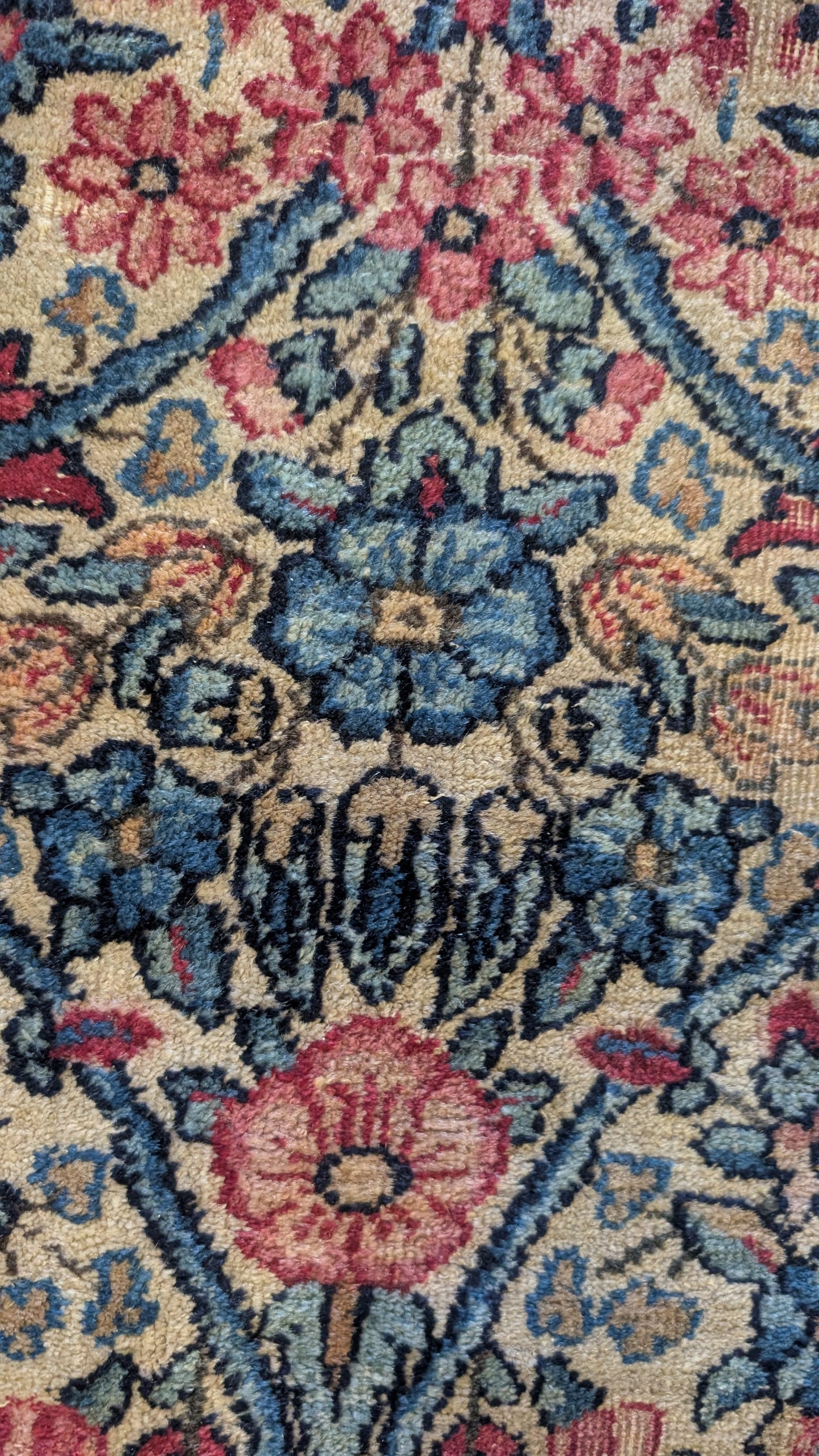 Antique Lavar Kerman Persian Rug, 9x12, "Roots of Eternity"