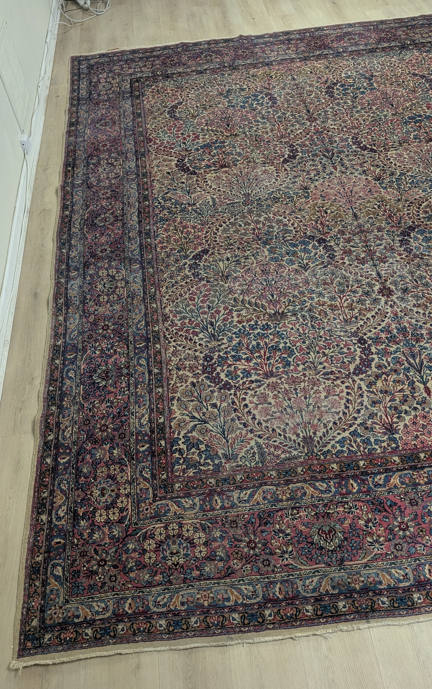 Antique Lavar Kerman Persian Rug, 9x11, "Tree of Life Sanctuary"