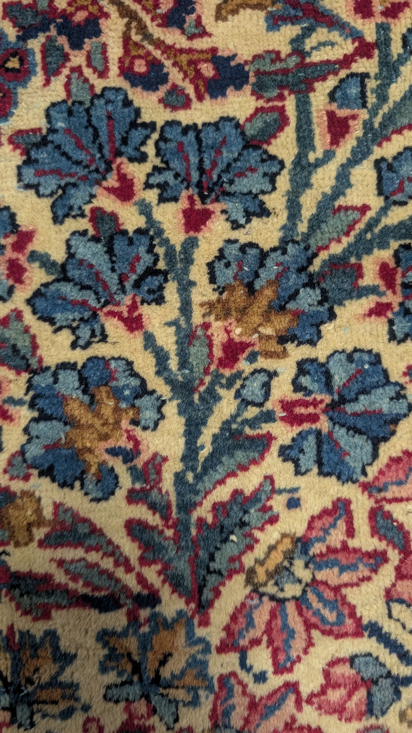 Antique Lavar Kerman Persian Rug, 9x11, "Tree of Life Sanctuary"