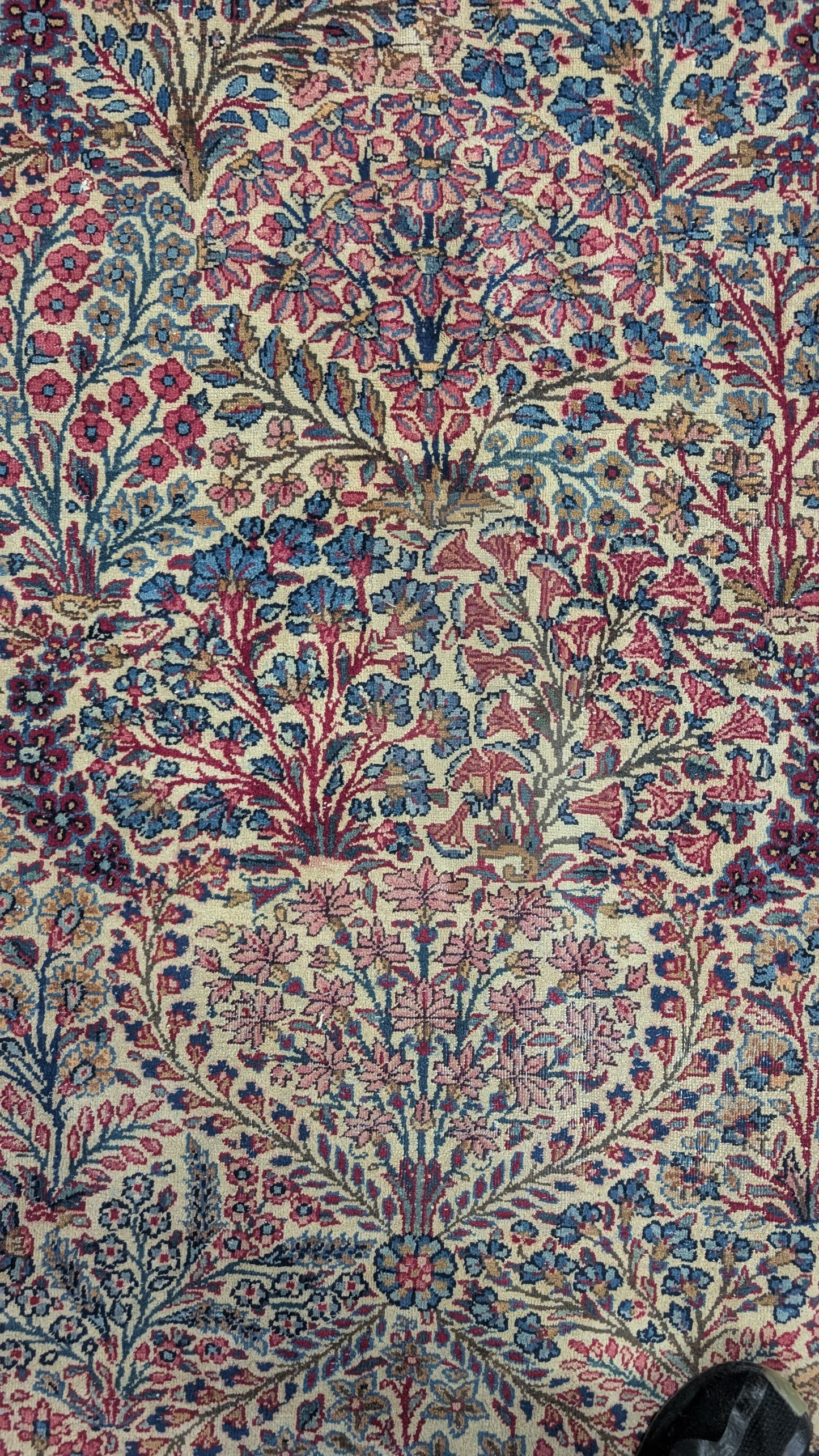 Antique Lavar Kerman Persian Rug, 9x11, "Tree of Life Sanctuary"