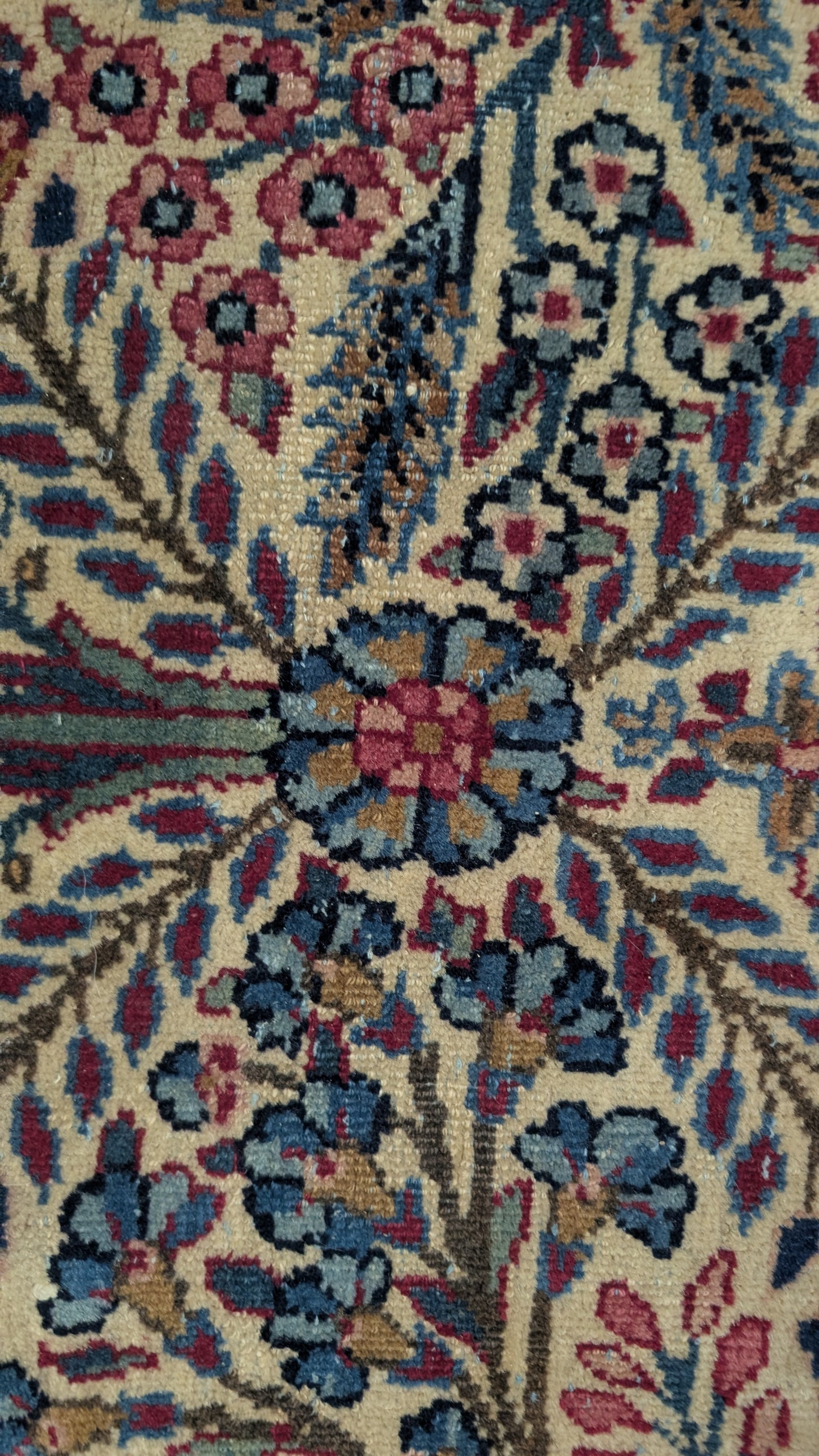 Antique Lavar Kerman Persian Rug, 9x11, "Tree of Life Sanctuary"
