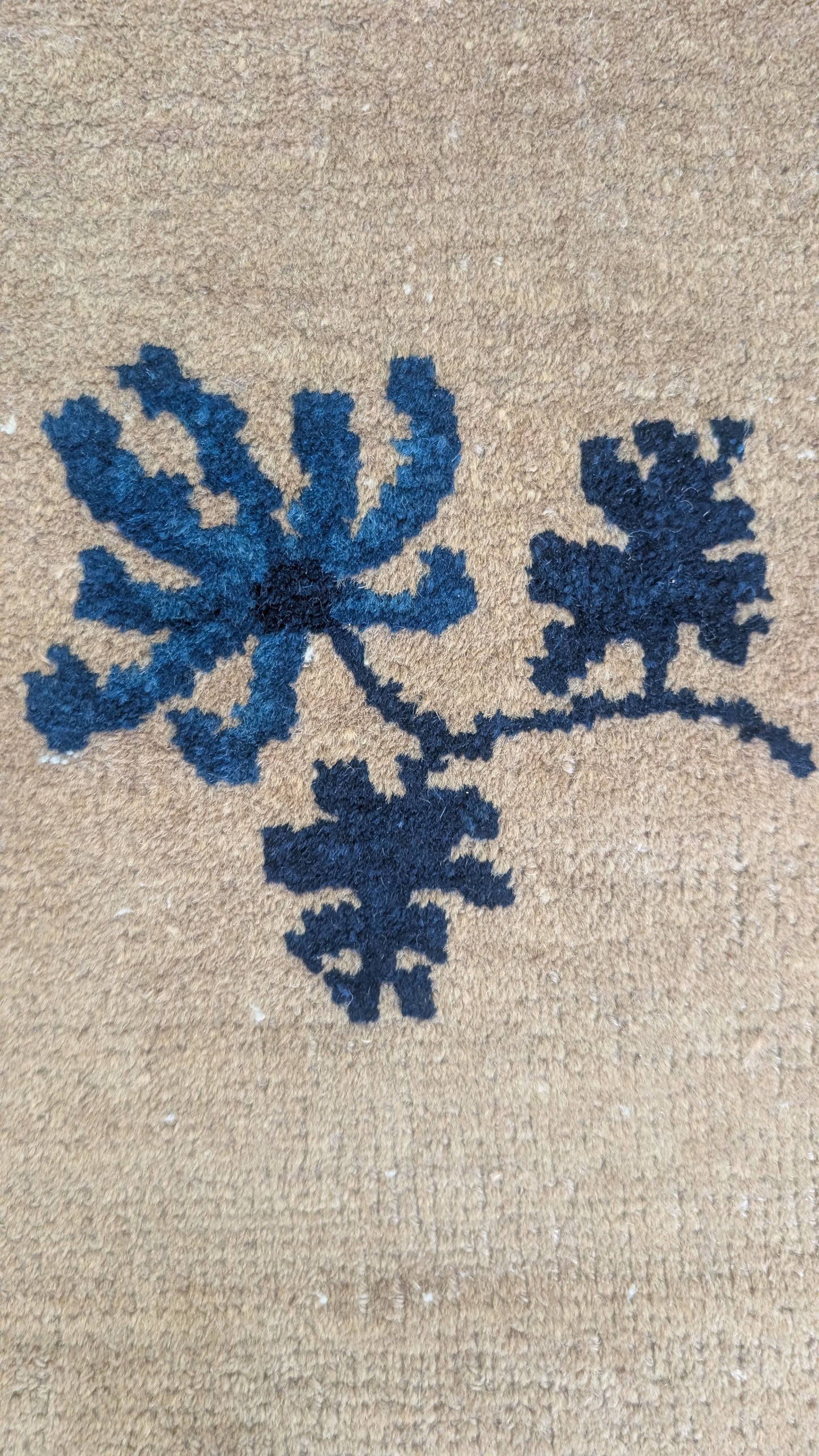 Antique Chinese Peking Rug, 9x13 - "The Five Dragons"
