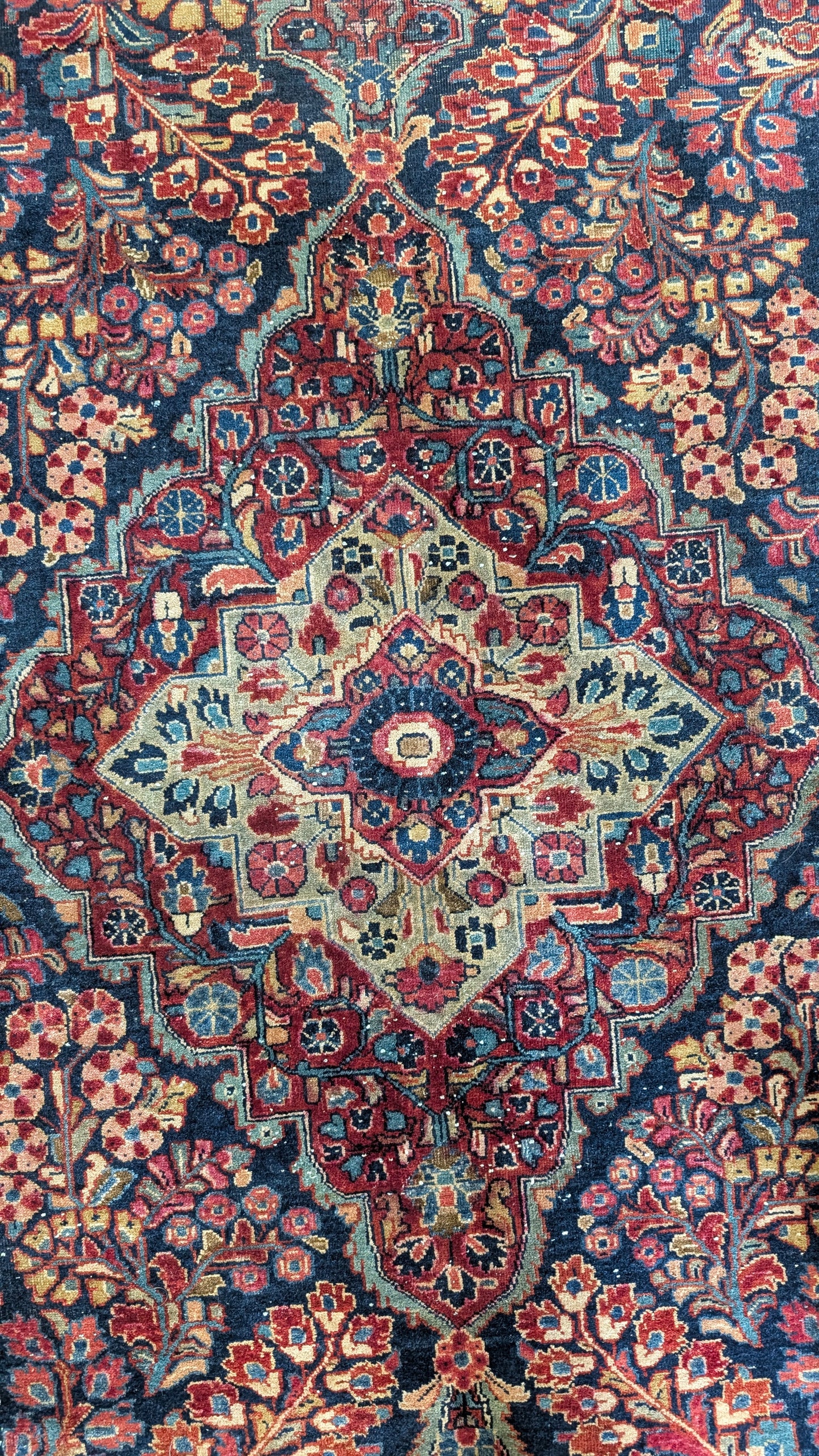 Antique Persian Sarouk Rug, 6x9, "The Midnight Garden"