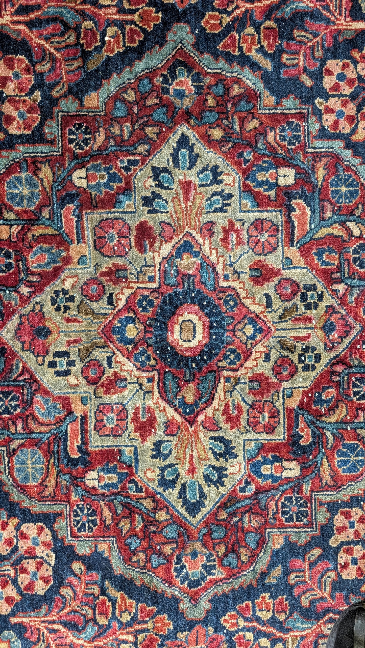 Antique Persian Sarouk Rug, 6x9, "The Midnight Garden"