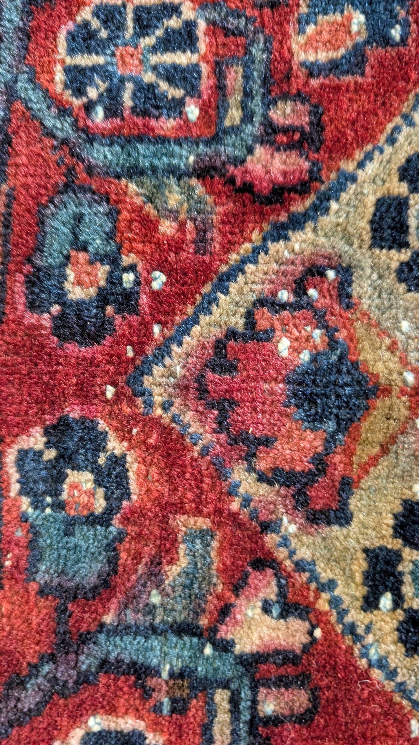 Antique Persian Sarouk Rug, 6x9, "The Midnight Garden"