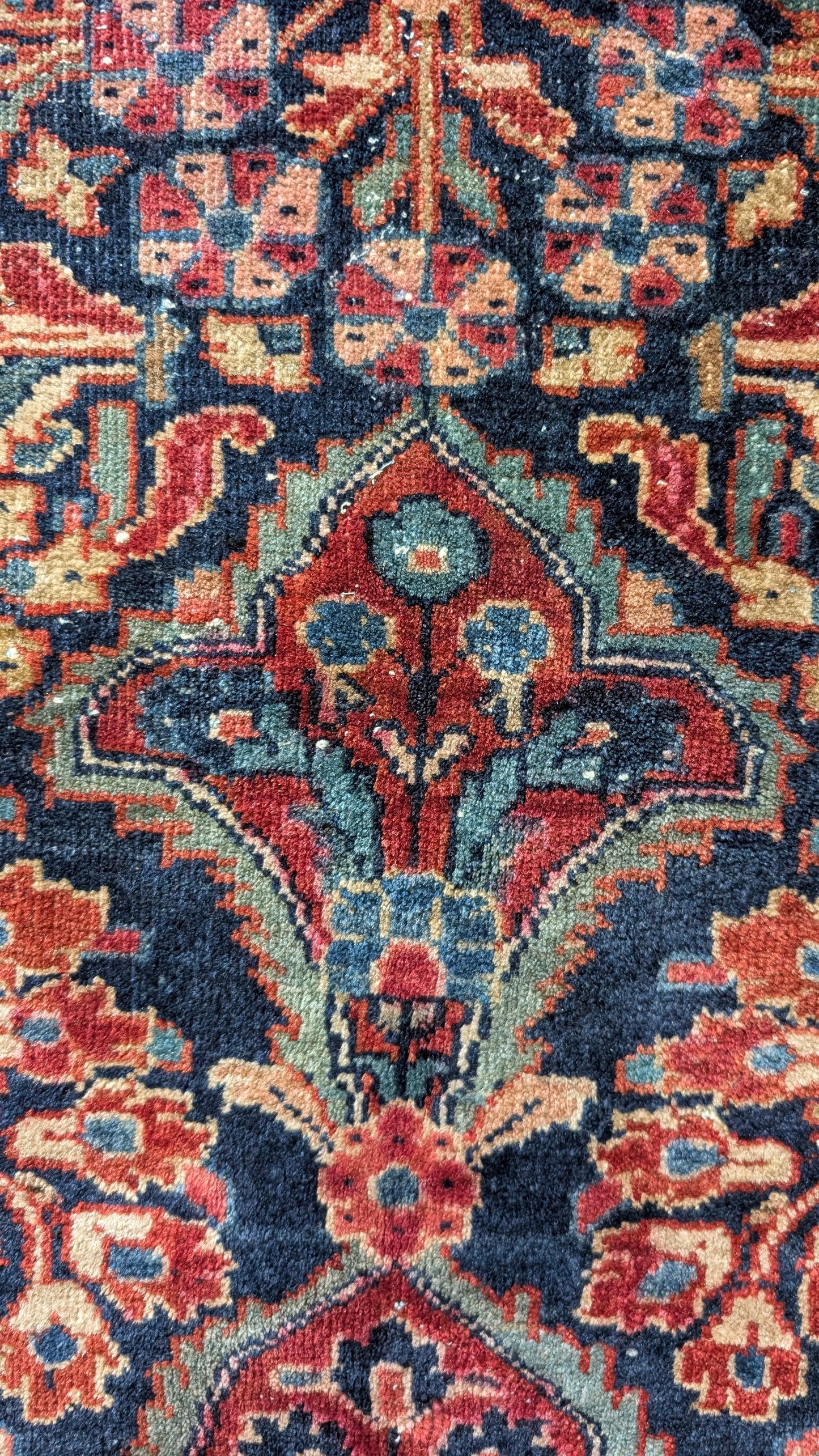 Antique Persian Sarouk Rug, 6x9, "The Midnight Garden"