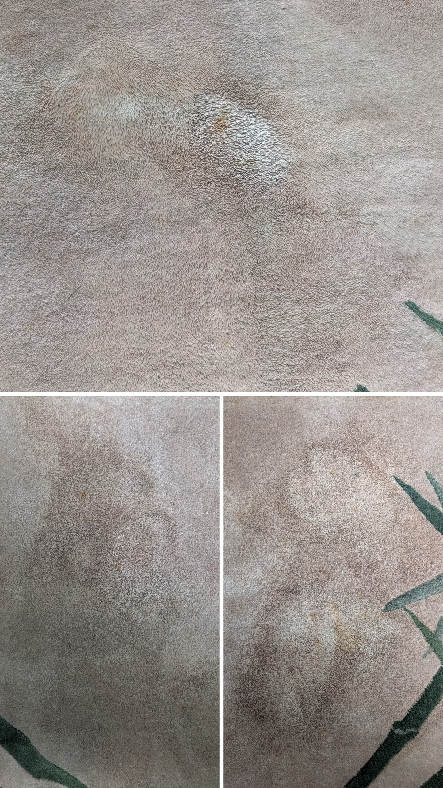 Vintage Chinese Rug, 9x12, 'The Bamboo Sanctuary'